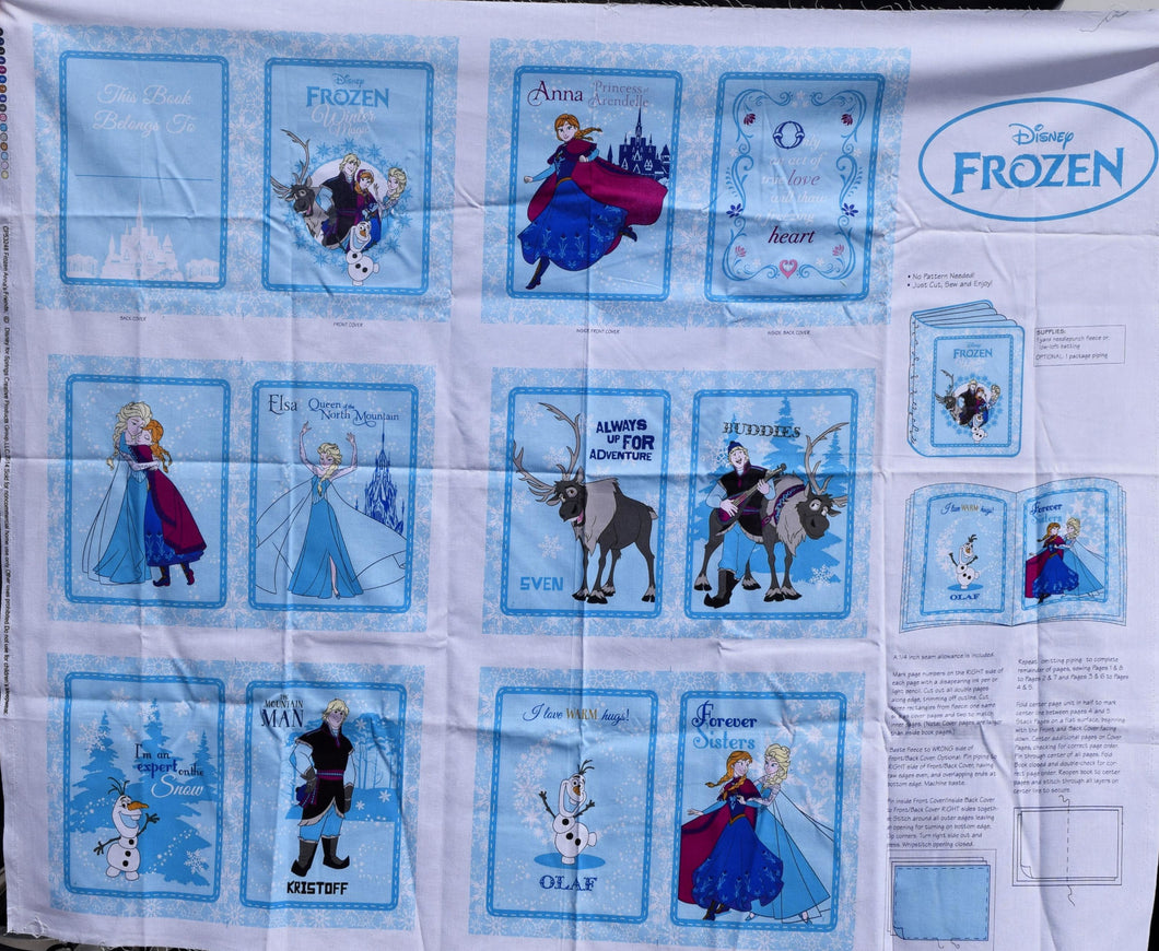 Frozen Book Panel